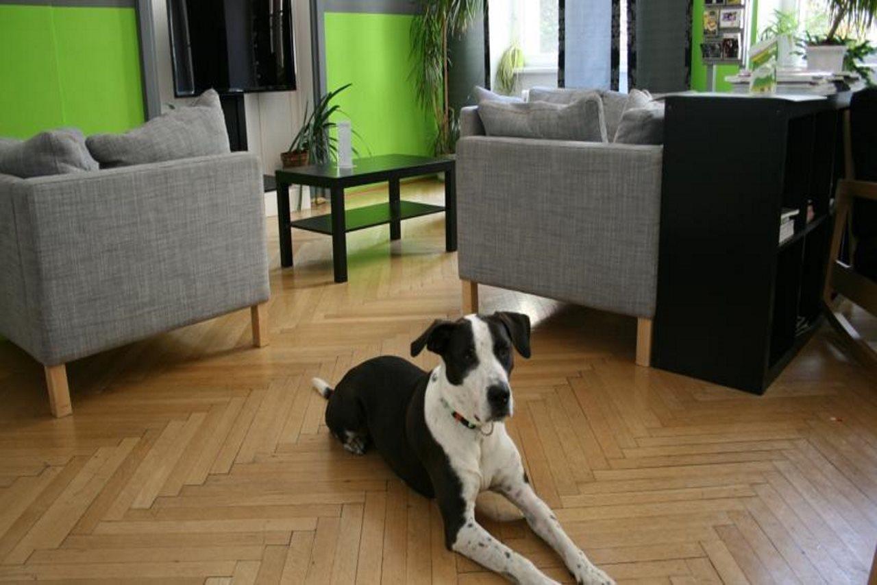 Hostel & Guesthouse Kaiser 23 Vienne Extérieur photo